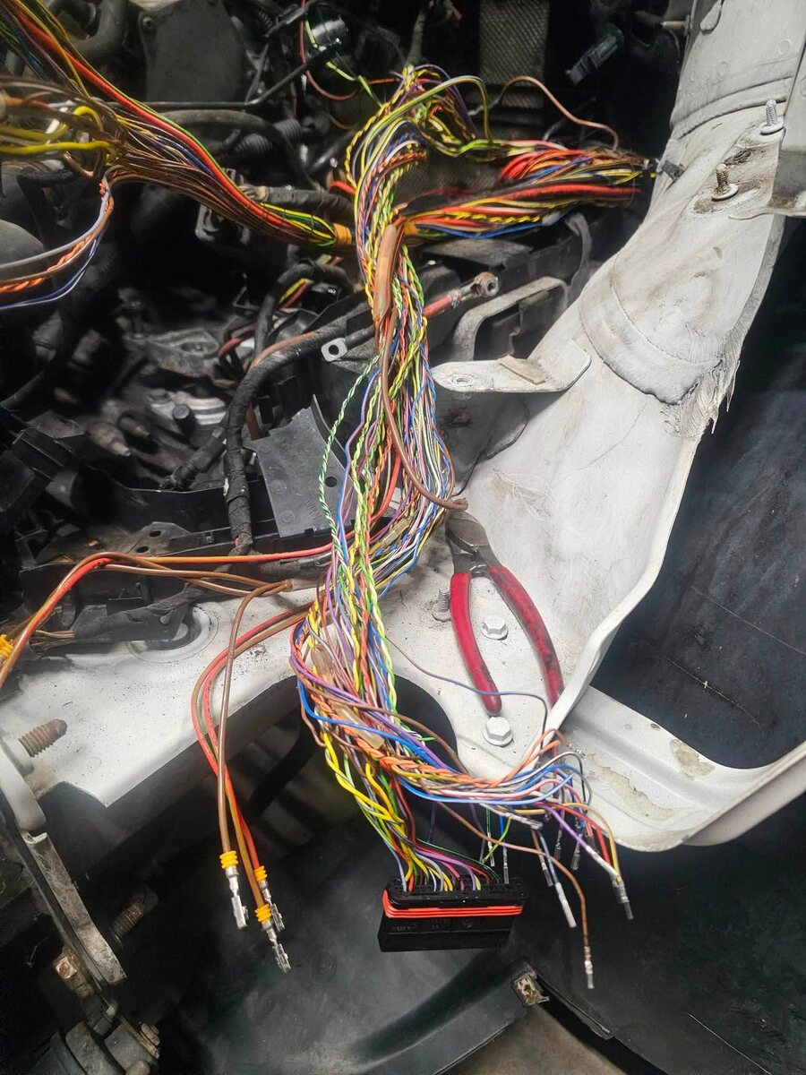 Vehicle wiring loom and multi-pin connector during electrical fault finding at ASR